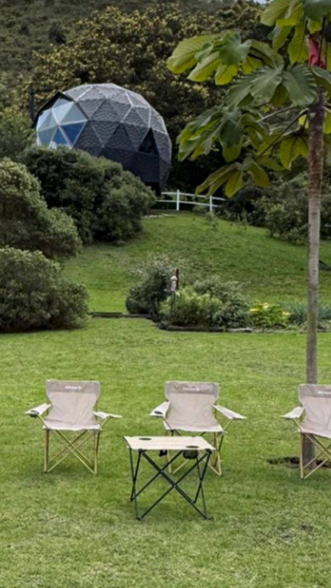 BioSeguridad-progestion